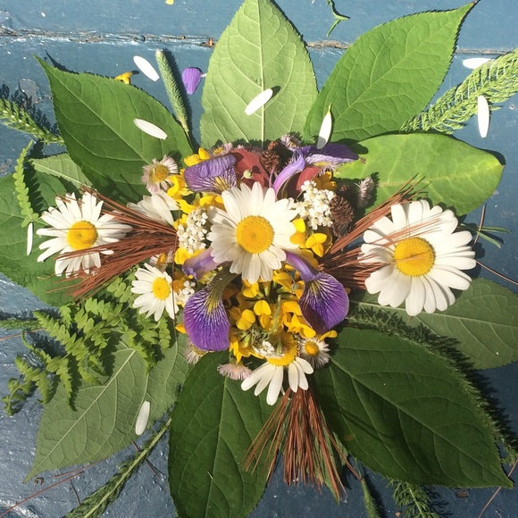 Meet your Posher, Kekelsey - Picture 1 of 1